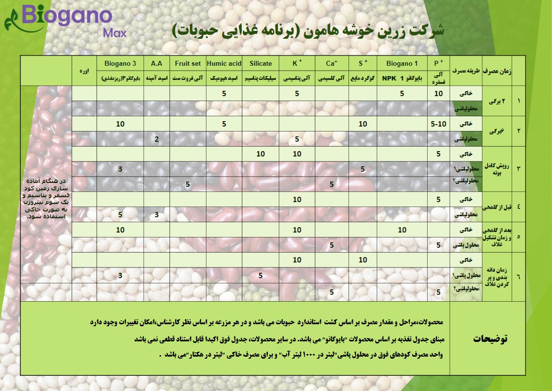 برنامه غذایی حبوبات